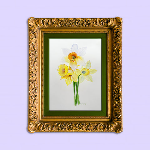 A Gift of Daffodils Art Print
